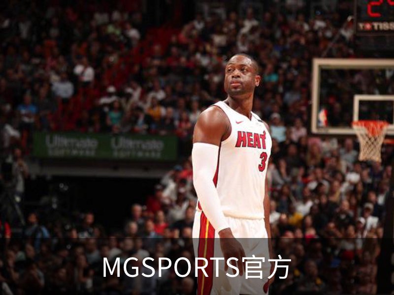 了解MGSPORTS官方